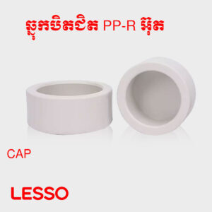 ឆ្នុកបិតជិត PP-R