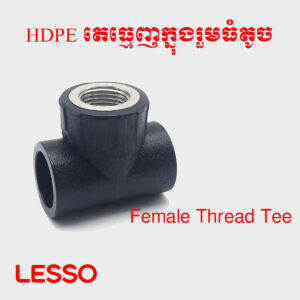 តេធ្មេញក្នុងរួមធំតូច HDPE
