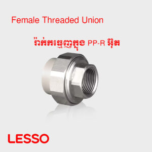 រ៉ាក់កធ្មេញក្នុង PP-R