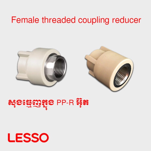 សុងធ្មេញក្នុងរួមធំតូច PP-R