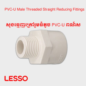 សុងធ្មេញក្រៅរួមធំតូច PVC-U ពណ៍ស