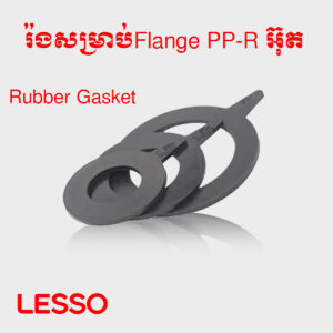 រ៉ងជ័រ PP-R