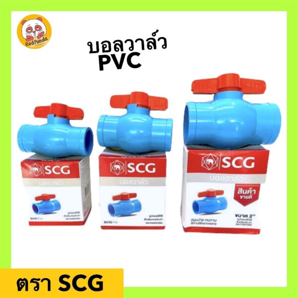 វ៉ាន អេសស៊ីជី - Image 5