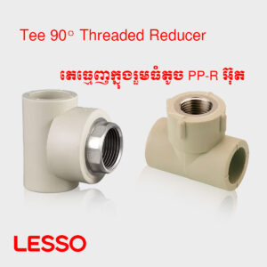 តេធ្មេញក្នុងរួមធំតូច PP-R