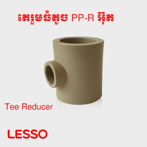 តេរួមធំតូច​ PP-R