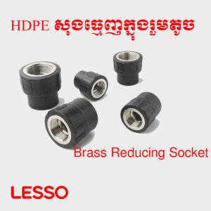 សុងធ្មេញក្នុងរួមតូច HDPE