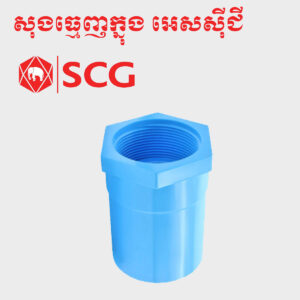 សុងធ្មេញក្នុង អេសស៊ីជី