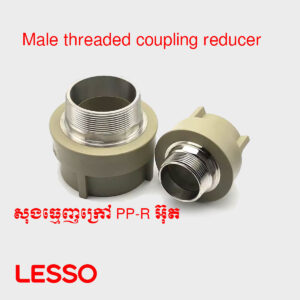 សុងធ្មេញក្រៅរួមធំតូច PP-R