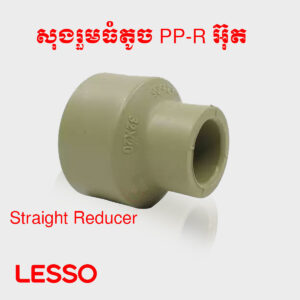 សុងរួមធំតូច​ PP-R