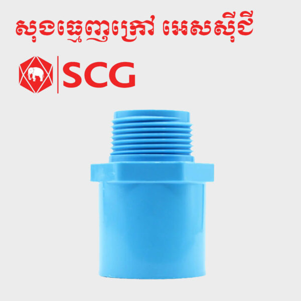 សុងធ្មេញក្រៅ អេសស៊ីជី