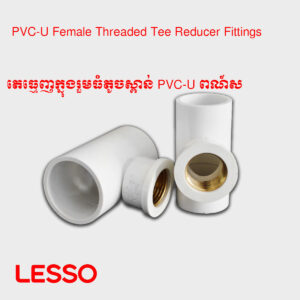 តេធ្មេញក្នុងរួមធំតូចស្ពាន់ PVC-U ពណ៍ស